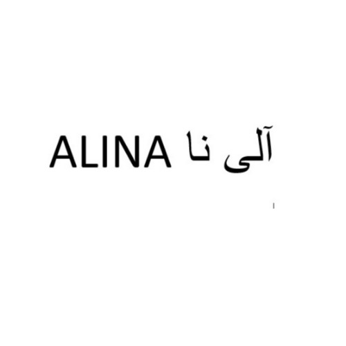 علامت تجاری آلي نا  متعلق به شرکت صنایع لوازم خانگی عالی نسب