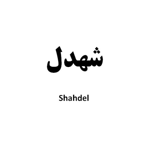 علامت تجاری شهدل  متعلق به شرکت نیک تام جانان