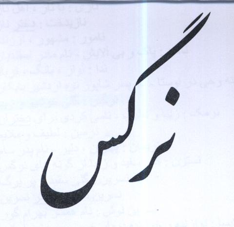 علامت تجاری نرگس متعلق به شرکت کاشی یاقوت میبد