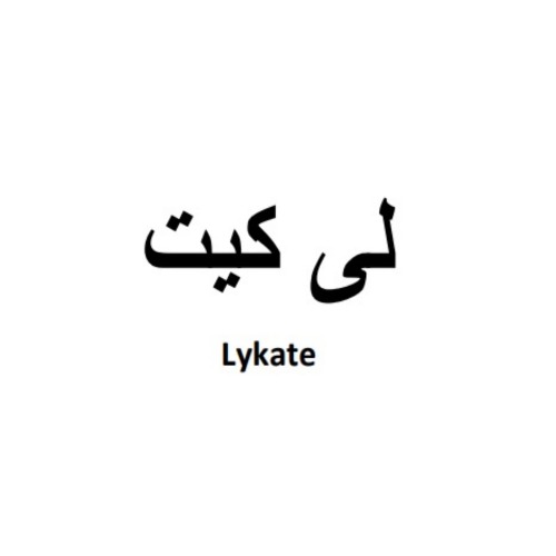 علامت تجاری لي كيت  متعلق به شرکت اکترو خاورمیانه