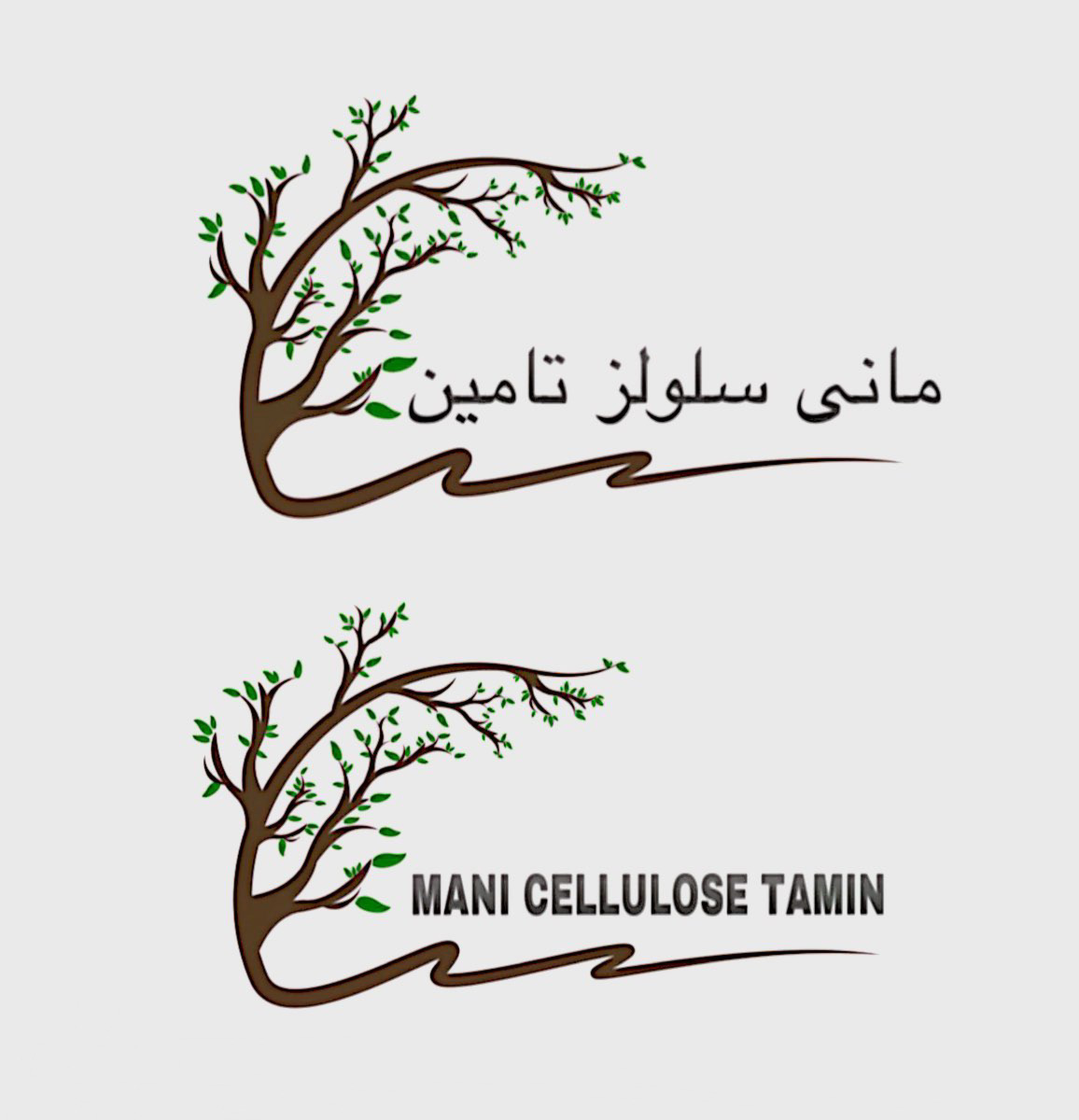 علامت تجاری ماني سلولز تامين  متعلق به شرکت مانی سلولز تامین
