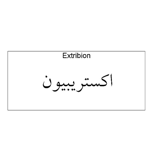 علامت تجاری اكستريبيون  متعلق به شرکت دارو سازی آنوشا