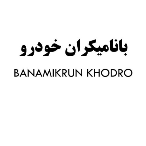 علامت تجاری باناميكران خودرو  متعلق به شرکت نامیک ران خودرو راد