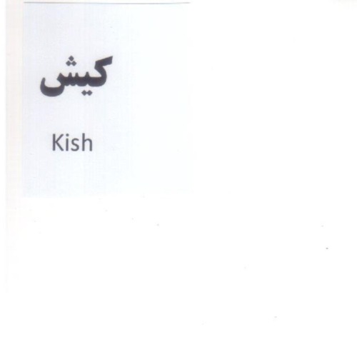 علامت تجاری كيش  متعلق به شرکت کیش چیپس