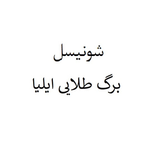 علامت تجاری شونيسل برگ طلايي ايليا متعلق به شرکت برگ طلایی ایلیا