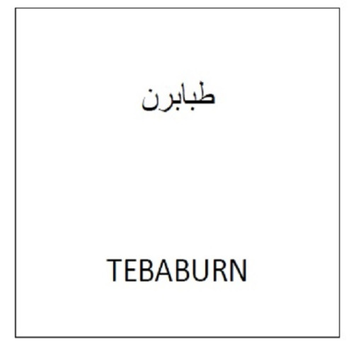 علامت تجاری طبابرن  متعلق به شرکت طبا زیست پلیمر