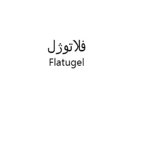 علامت تجاری فلاتوژل  متعلق به شرکت داروسازی دانا